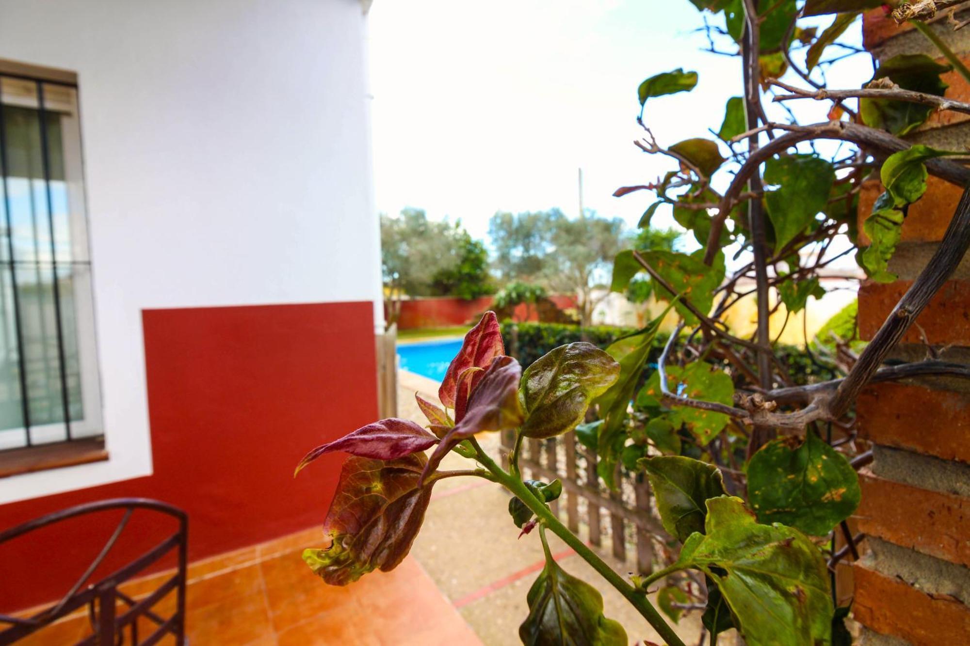 Los Candiles Conil De La Frontera Exterior photo